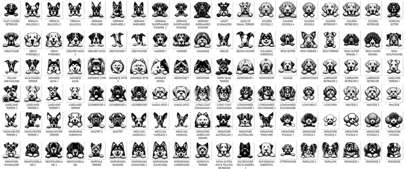 Pacote de imagens SVG de raças de cães espiando: 384 cabeças de cachorro (download digital) imagem 5