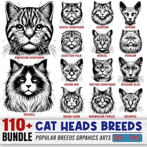 Cat Breeds Head Bundle: SVG & PNG Files for Cricut (Digital Download)