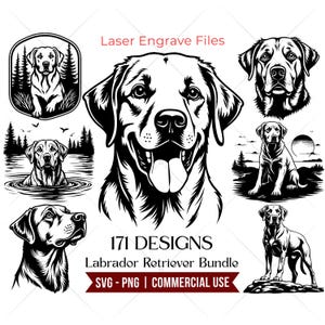 May include: A collection of black and white Labrador Retriever designs. The image includes various illustrations of the dog breed, with text that reads "Laser Engrave Files" and "171 Designs Labrador Retriever Bundle SVG - PNG | COMMERCIAL USE".