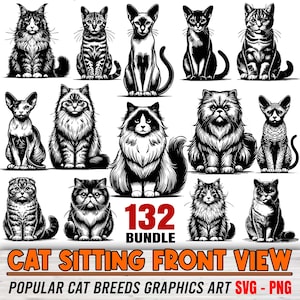 Cat Breed SVG: Sitting Front View Graphics (Digital Download)