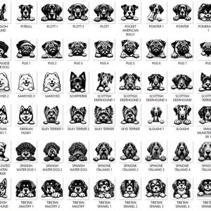 Pacote de imagens SVG de raças de cães espiando: 384 cabeças de cachorro (download digital) imagem 6