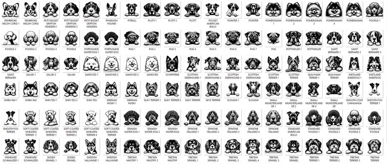 Pacote de imagens SVG de raças de cães espiando: 384 cabeças de cachorro (download digital) imagem 6