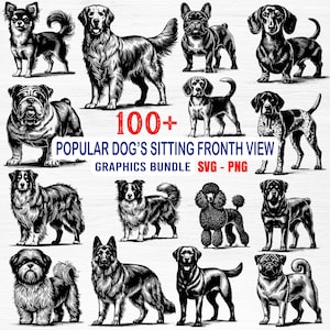 100+ Popular Dog&#39;s Sitting Front View Bundle SVG | Labrador, Bulldog, German Shepherd | Popular Dog Breeds Clipart for Cricut, & Home Decor