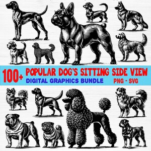 100+ Popular Dog&#39;s Sitting Side View Bundle SVG | Labrador, Bulldog, German Shepherd | Popular Dog Breeds Clipart for Cricut, & Home Decor