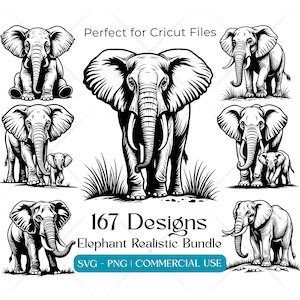 May include: A collection of black and white elephant designs. The image includes various poses of elephants, including sitting, standing, and with their young. Text reads "167 Designs Elephant Realistic Bundle" and "SVG - PNG | COMMERCIAL USE".