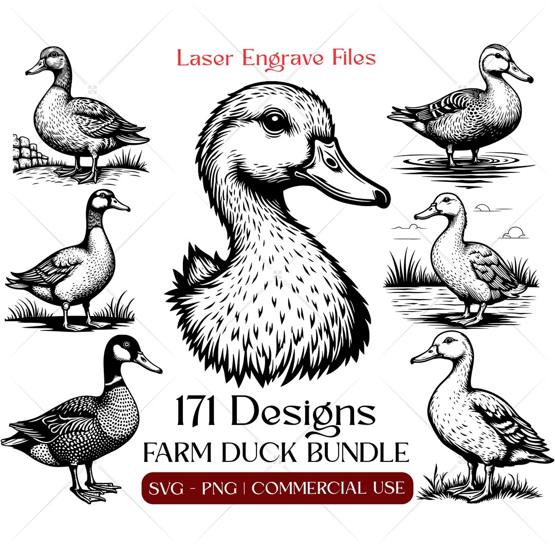 Laser Engrave Files Farm Duck Svg & Png Bundle, Engraved Wood Slate Art ...