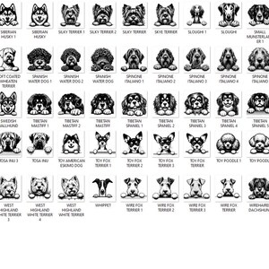 Pacote de imagens SVG de raças de cães espiando: 384 cabeças de cachorro (download digital) imagem 7