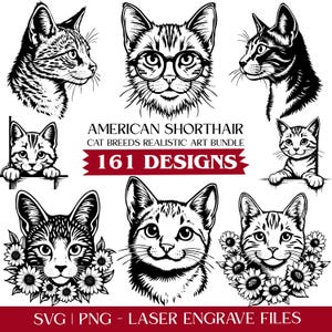 Laser engrave files: Realistic American Shorthair Cat Svg & Png Bundle, Etched Art instant downloads
