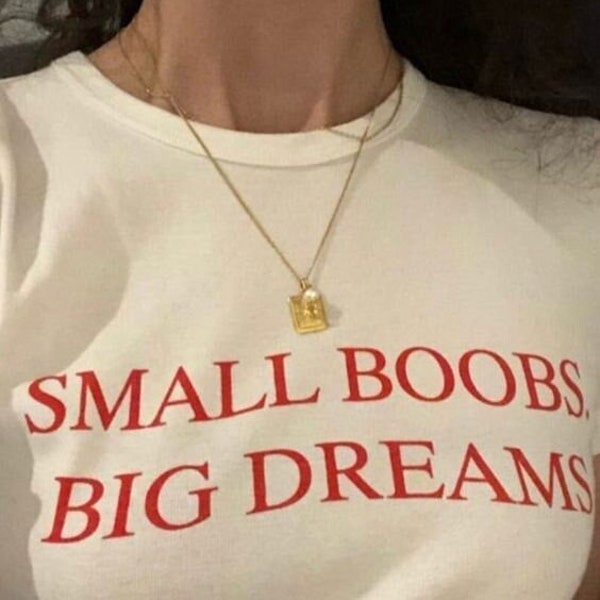 Small Boobs Big Dreams, Aesthetic T-shirt 2000s Inspired Tee, Graphic T-Shirt