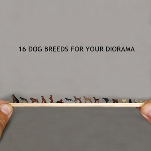 Dogs for Dioramas 1/64 & 1/43 Scale – German Shepherd Australian Cattle Dog American Bully Deutscher Boxer Cane Corso British Bulldog Pug