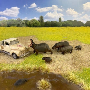 1-64 scale herd of hippo for nature Zoo diorama