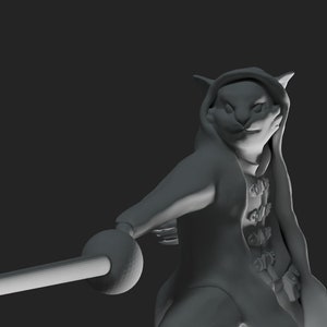 Tabaxi Rogue