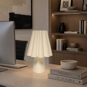 May include: A white table lamp with a pleated shade is on a desk. The lamp has a rounded base and a flared shade. The desk also holds books, a marble bowl, and a computer monitor. The background includes a bookshelf and artwork.