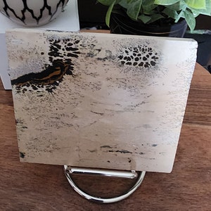 Picture Jasper Slab, Slab, Freeform, Jasper, Picture Jasper, Crystal Community, Crystal Life, Crystal Lovers, Picture Jasper Lovers