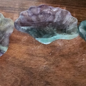 Fluorite Shells, Jewelry Holder, Treasure, Shells, Fluorite, Crystal Community, Crystal Lover, Crystal Life, Shell Lover, Fluorite Lover