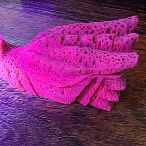 May include: A bright pink coral with a textured surface. The coral has a unique shape and is reminiscent of a flower.
