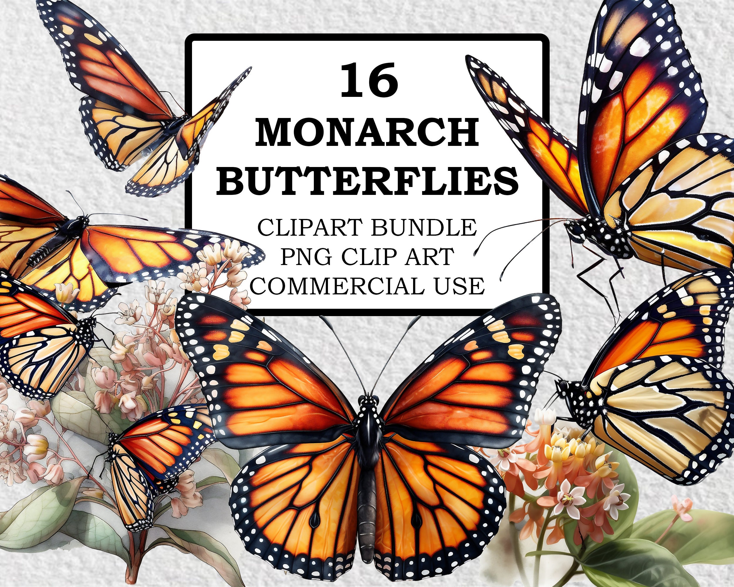 Monarch Butterfly Clipart Monarch Butterfly PNG Watercolor Etsy