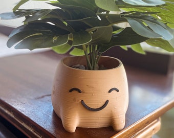 May include: A brown ceramic planter with a smiling face and four legs, holding a green leafy plant.