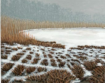 Robles jóvenes, nieve