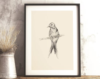 Printable Bird Illustration - Beige Gray Sketch - Graphite Bird Drawing - Digital Download - Drawing by Pola Szafranska