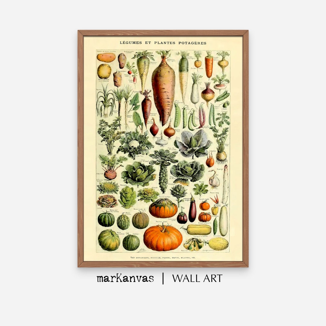 Vintage Vegetable Print, Instant DOWNLOAD, Fall Home Decor, PRINTABLE Wall Art, Vintage