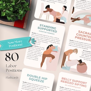 May include: A set of 80 labor position flashcards. The cards feature illustrations of various birthing positions, with text describing benefits and recommendations. A teal banner reads "Now More Positions!" with the number "80" in large font. A small potted plant is in the upper left corner.