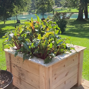 Cedar Planter 100% Natural cedar wood, USA Hand Made, Fully Assembled, Free Shipping