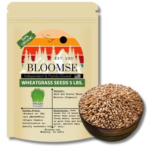 Puede incluir: Una bolsa de papel marrón con una etiqueta blanca que dice "100% Orgánico" y "Bloomse Independiente & Familiar Wheatgrass Seeds 5 LBS." La etiqueta también incluye la variedad de semillas de pasto de trigo, "Hard Red Winter Wheat Berries (Organic)", e instrucciones para plantar. En la esquina inferior derecha de la imagen se muestra un tazón de semillas de pasto de trigo.