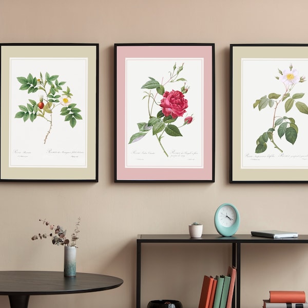 Affiche triptyque roses I rétro I affiche vintage I art mural vintage I Rosiers