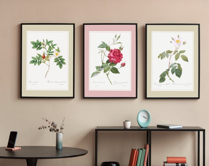 Rose triptych poster I retro I vintage poster I vintage wall art I Rose bushes