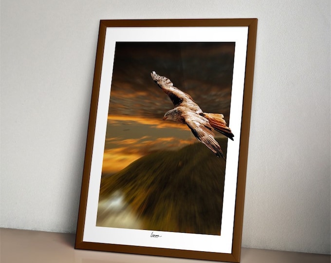 eagle poster