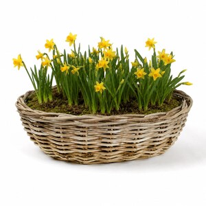 Kubu Rattan Two Tone Oval Planter with Liner - Indoor & Outdoor