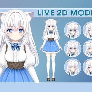 Premade Vtuber Model, Live2d Model, Vtuber Commission, Vtuber Rigging, 2D  Vtuber Anime Girl for Virtual Streamer Streaming