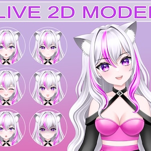 Premade Vtuber Model, Live2d Model, Vtuber Commission, Vtuber Rigging, 2D  Vtuber Anime Girl for Virtual Streamer Streaming