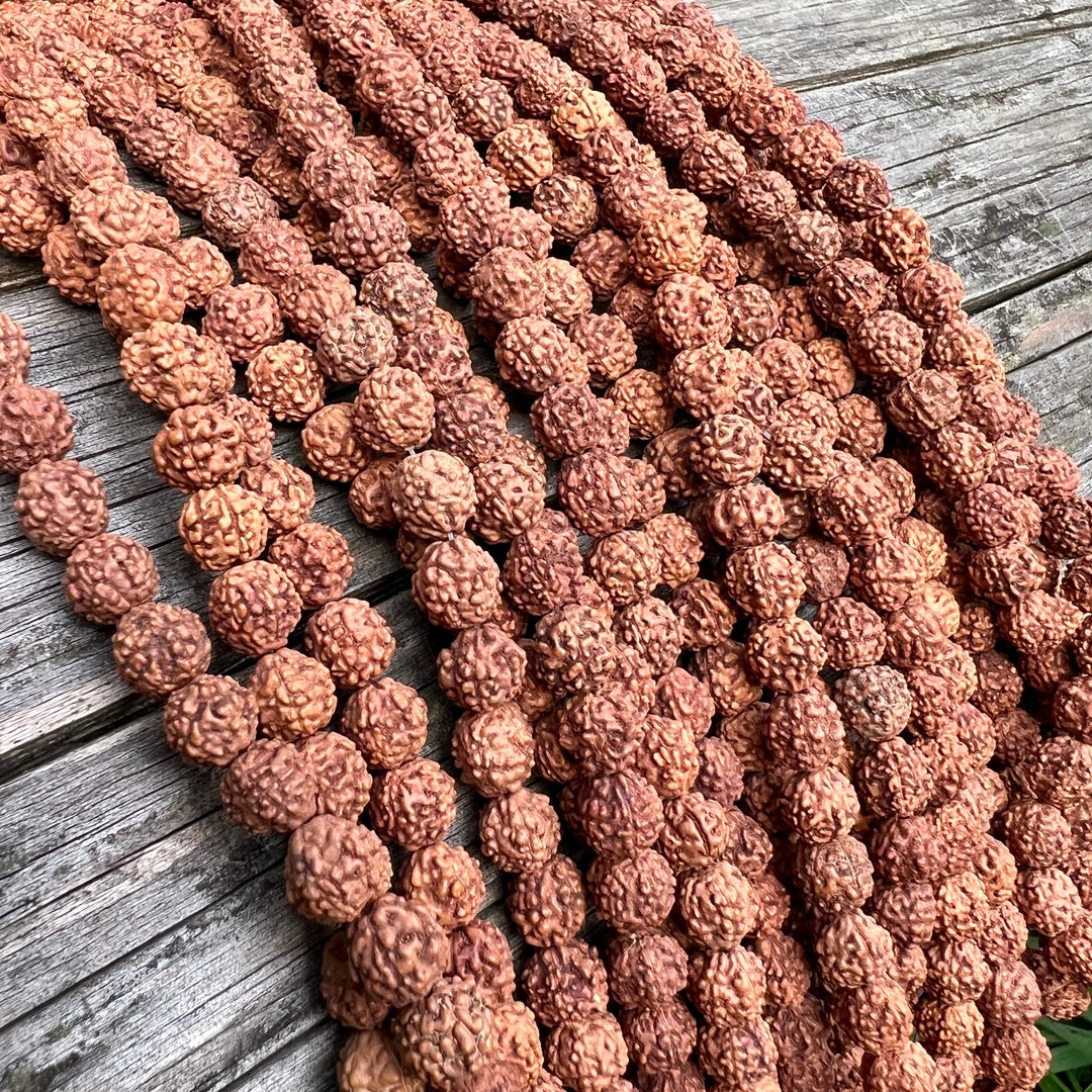 Perles De Rudraksha : Guide Complet Des Malas Sacrés Pour La