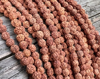 Graines Rudraksha Chapelet de 109 perles de Bodhi naturelles prière himalayenne Japa Mala 5 chapelet Mukhi Rudraksha en perles Isha consacrée Panchmukhi