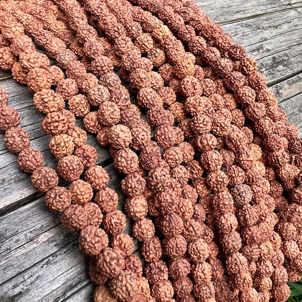 Rudraksha Samenstrang von 109 Himalaya Gebetsnatürlichen Bodhi Perlen Japa Mala 5 Mukhi Rudraksha Rosenkranz lose Perlen geweiht Panchmukhi