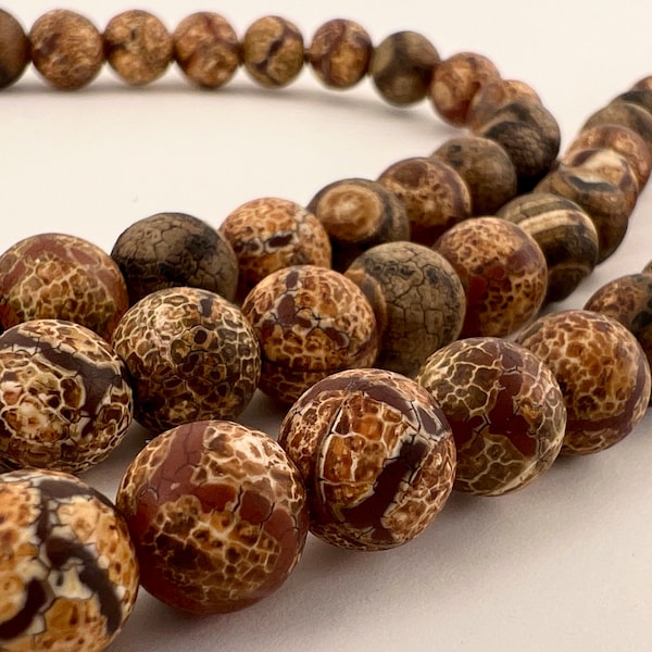 Tibetische DZI Achat Perlen 10mm, 37 cm Strang Schildkrötenrücken Muster Halbedelstein