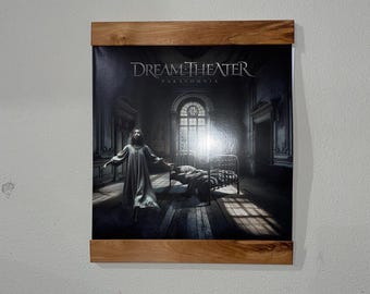 Vinyl record wall mount