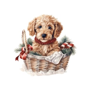 Cucciolo di Natale Goldendoodle, Pdf, Svg, Png, Jpg, uso commerciale, download digitale, creazione di cartoline, crea il tuo design con questo cane