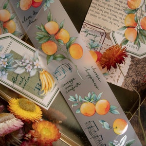Loi Design Focus on the Good PET Tape | Translucent PET Tape | Art Journaling, Collage, Washi Tape