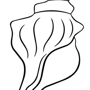Könnte beinhalten: Eine Schwarzweiß-Zeichnung einer Muschel mit einer spiralförmigen Spitze.
