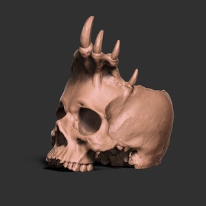 May include: A detailed, 3D printed skull with a unique, spiky crown. The skull is a light brown color and appears to be made of a smooth, ceramic material.