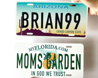 Custom US State License Plate: Personalized Aluminum Car Tag (6x12 Inch)