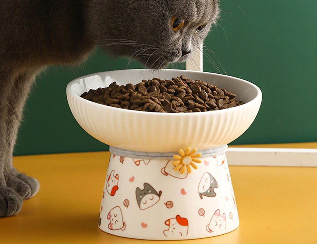 Cat Food Stand Cat Bowl Stand Cat Water Bowl Cat Feeder Etsy