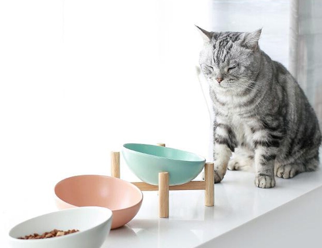 Cat Food Stand Raised Dog Bowl Cat Dishes Pet Drinking Etsy