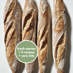 230+ Year Old French Sourdough Starter | From Provence | Moist Starter including 3 Recipes & Care Instructions | Super Active and Organic