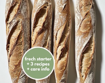 Lievito madre francese di oltre 230 anni | Dalla Provenza | Lievito madre umido con 3 ricette e istruzioni per la cura | Super attivo e biologico