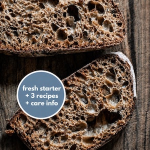 Può includere: Due fette di pane a lievitazione naturale dalla crosta scura e con una mollica aperta e alveolata. Un grafico circolare blu è sovrapposto alla fetta inferiore, con il testo bianco: fresh starter + 3 recipes + care info.