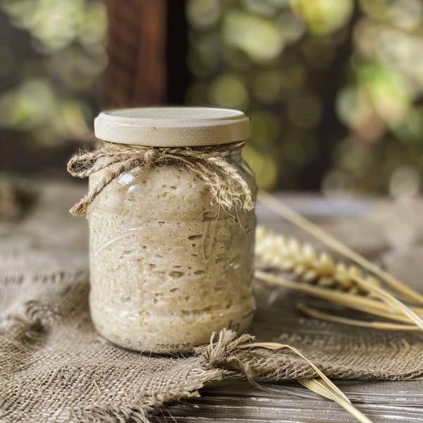 Wheat sourdough - starter culture - starter - organic